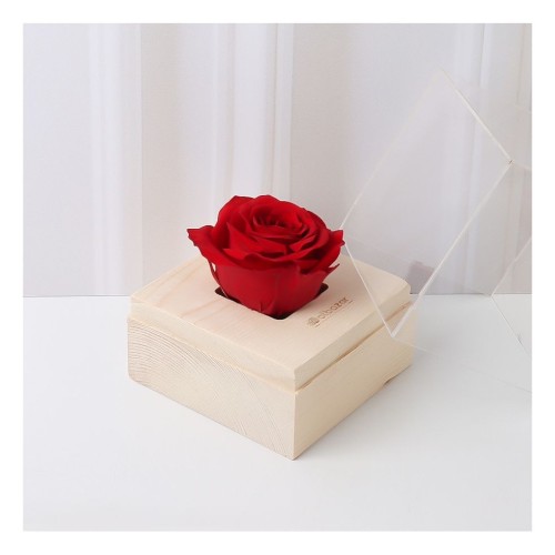 Eternal Red Rose